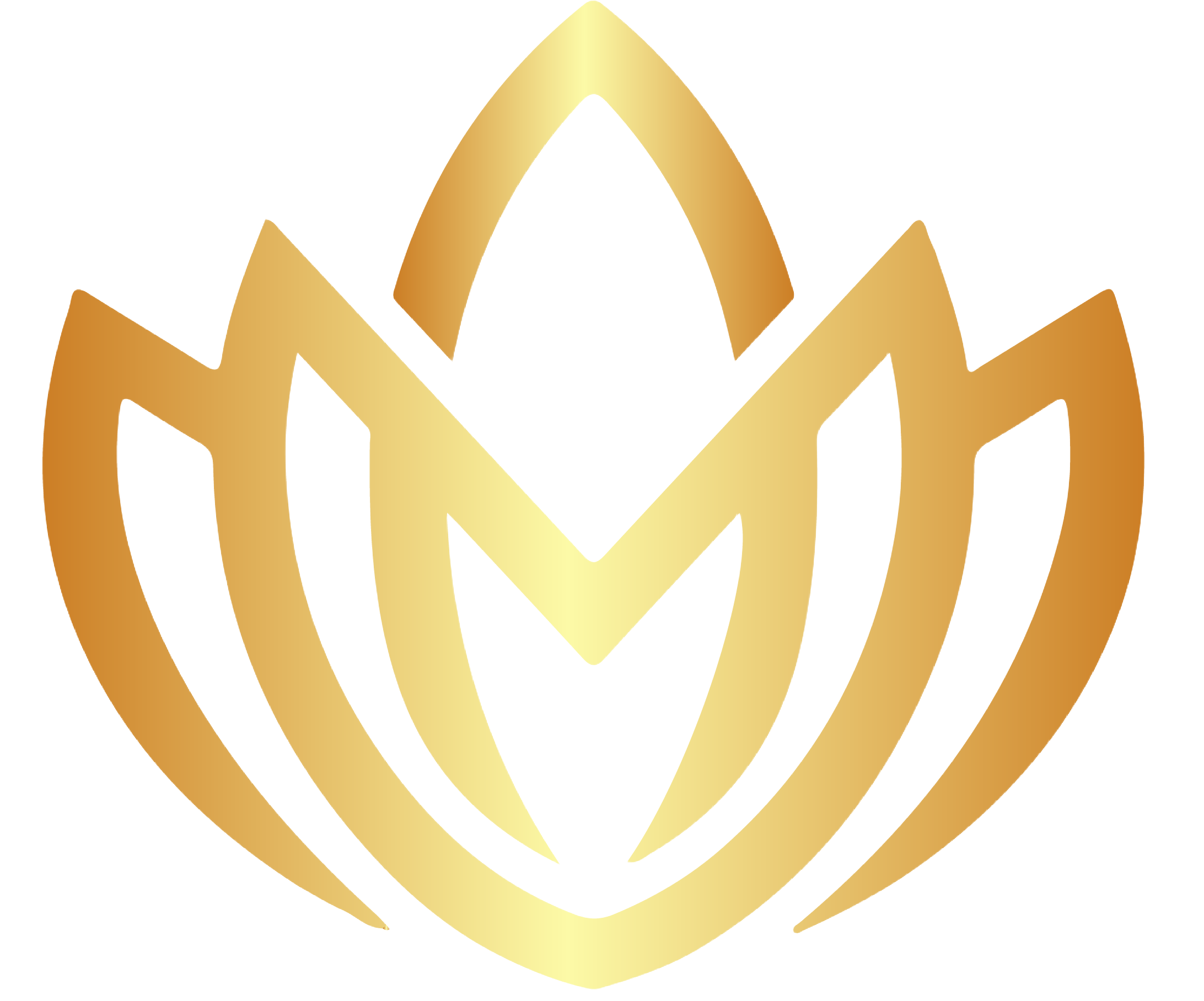 Mira Akademi